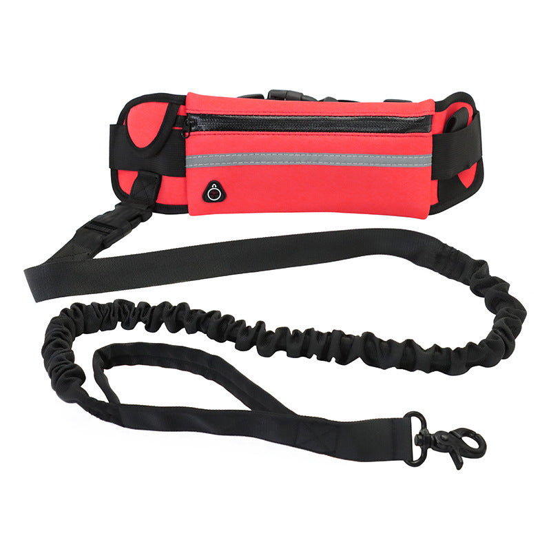 Hands Free Dog Leash and Water Bottle Holder