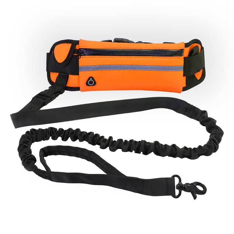 Hands Free Dog Leash and Water Bottle Holder