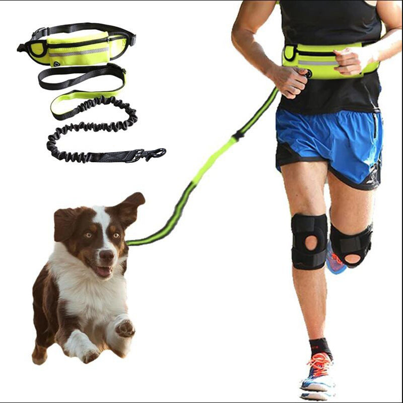 Hands Free Dog Leash and Water Bottle Holder