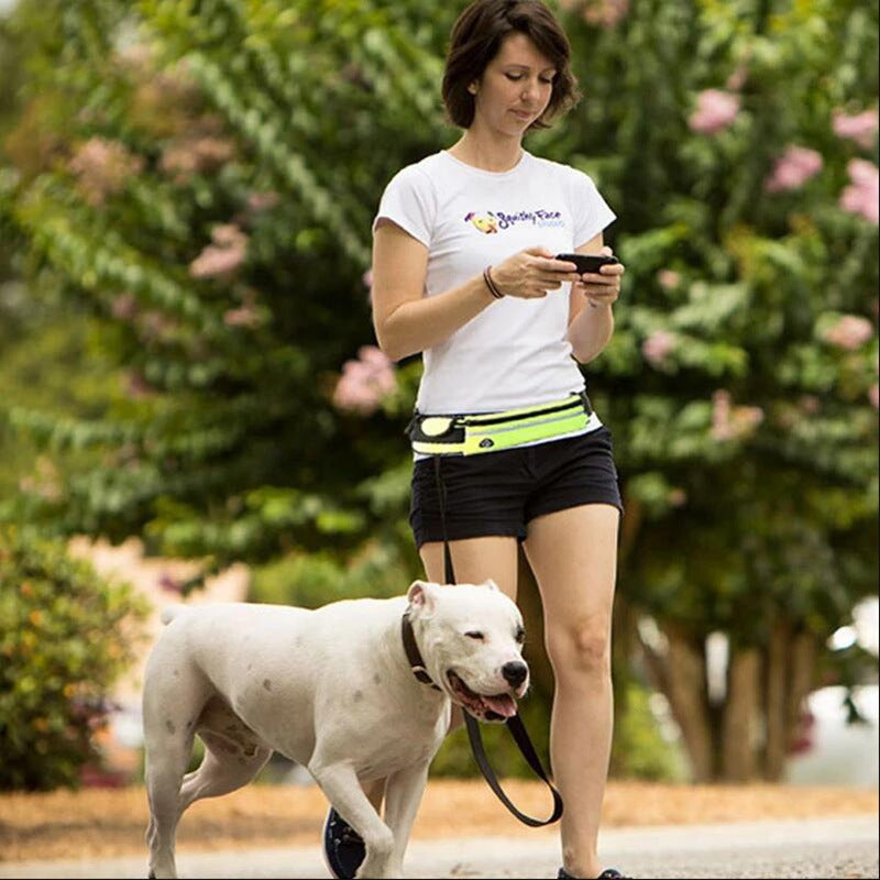 Hands Free Dog Leash and Water Bottle Holder