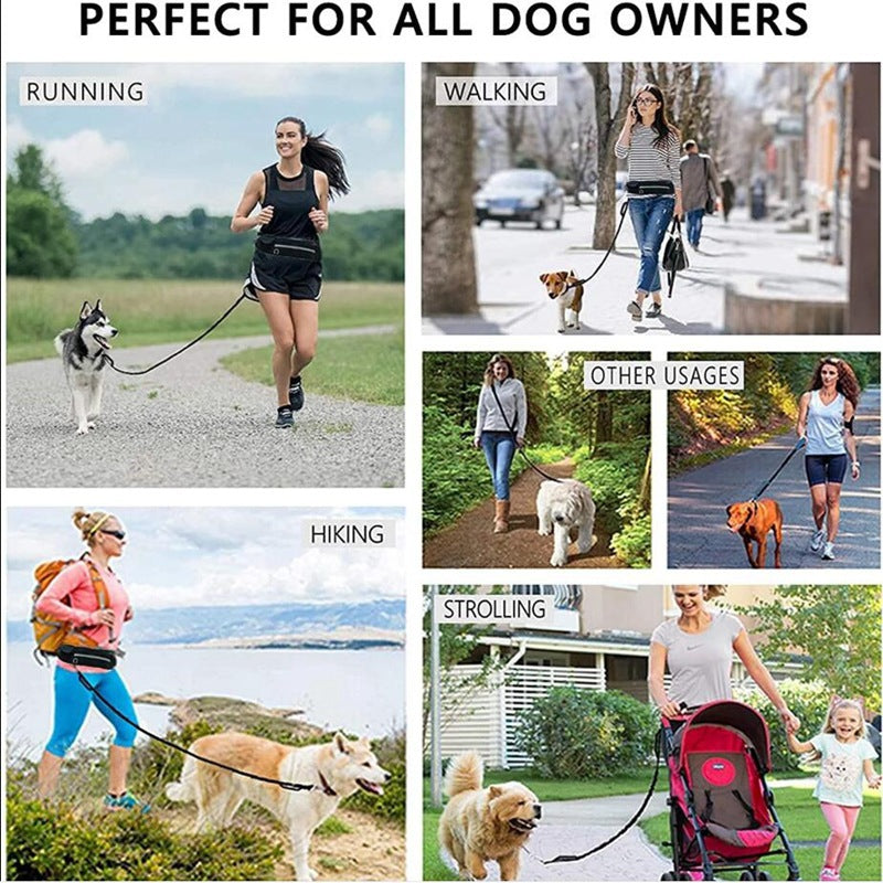Hands Free Dog Leash and Water Bottle Holder